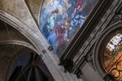 Cathedral St Sauveur In Aix en Provence