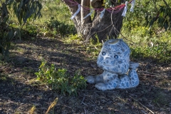 Albany Bulb, Albany, California — waterfront park with graffiti art, beach, and San Francisco Bay views