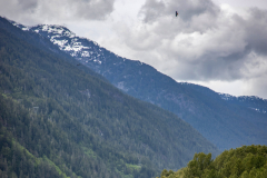 Brackendale Eagle Run near Squamish River, British Columbia — scenic eagle viewing location with river and mountain landscape