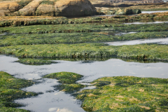 Devils Punchbowl rock formation, Oregon coast, tidepooling spot, natural area
