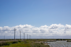Restored salt flats and marsh habitat at Eden Landing Ecological Reserve in Hayward, California.