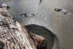 Goat Rock State Beach