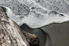 Goat Rock State Beach