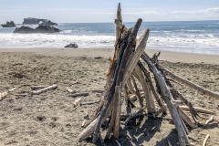 Goat Rock State Beach
