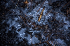 Ice Ice