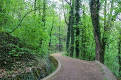 Kutna Hora