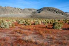 Mono Lake