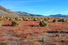 Mono Lake