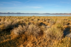 Mono Lake