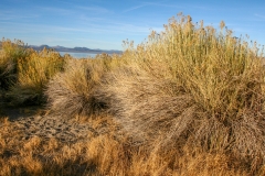 Mono Lake