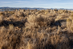 Mono Lake