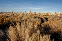 Mono Lake