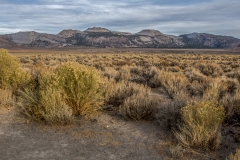 Mono Lake