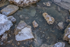 Mono Lake