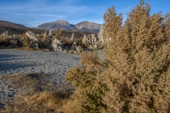 Kradel_Mono-Lake_3664 Kradel_Mono-Lake_3664
