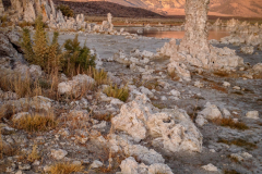 Mono Lake Mono Lake