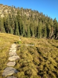 Mt Shasta Panther Meadow