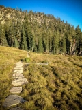 Mt Shasta Panther Meadow