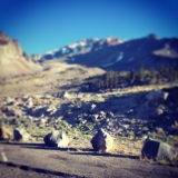 Mt Shasta