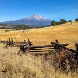 Mt Shasta