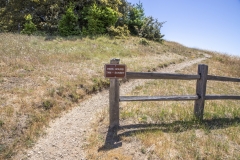Mount Tamalpais, Marin County, California — coastal mountain landscape with Pacific Ocean views Mount Tamalpais, Marin County, California — coastal mountain landscape with Pacific Ocean views