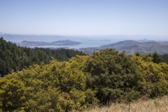 Mount Tamalpais, Marin County, California — coastal mountain landscape with Pacific Ocean views