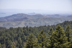 Mount Tamalpais, Marin County, California — coastal mountain landscape with Pacific Ocean views Mount Tamalpais, Marin County, California — coastal mountain landscape with Pacific Ocean views