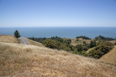 Mount Tamalpais, Marin County, California — coastal mountain landscape with Pacific Ocean views