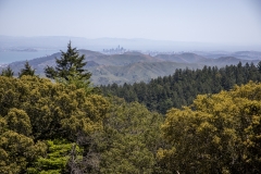 Mount Tamalpais, Marin County, California — coastal mountain landscape with Pacific Ocean views