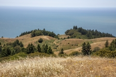 Mount Tamalpais, Marin County, California — coastal mountain landscape with Pacific Ocean views