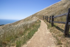 Mount Tamalpais, Marin County, California — coastal mountain landscape with Pacific Ocean views
