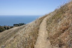 Mount Tamalpais, Marin County, California — coastal mountain landscape with Pacific Ocean views