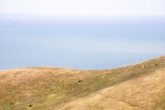 Mount Tamalpais, Marin County, California — coastal mountain landscape with Pacific Ocean views