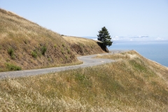 Mount Tamalpais, Marin County, California — coastal mountain landscape with Pacific Ocean views