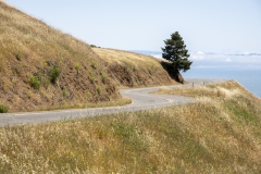 Mount Tamalpais, Marin County, California — coastal mountain landscape with Pacific Ocean views
