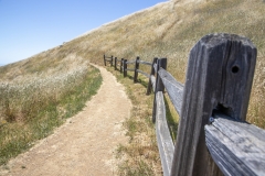 Mount Tamalpais, Marin County, California — coastal mountain landscape with Pacific Ocean views