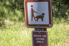 Mount Tamalpais, Marin County, California — coastal mountain landscape with Pacific Ocean views