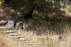 Mount Tamalpais, Marin County, California — coastal mountain landscape with Pacific Ocean views