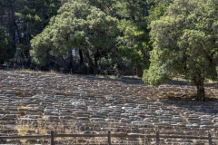 Mount Tamalpais, Marin County, California — coastal mountain landscape with Pacific Ocean views