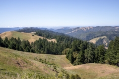 Mount Tamalpais, Marin County, California — coastal mountain landscape with Pacific Ocean views
