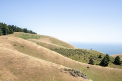 Mount Tamalpais, Marin County, California — coastal mountain landscape with Pacific Ocean views