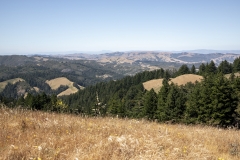 Mount Tamalpais, Marin County, California — coastal mountain landscape with Pacific Ocean views