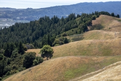 Mount Tamalpais, Marin County, California — coastal mountain landscape with Pacific Ocean views