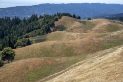 Mount Tamalpais, Marin County, California — coastal mountain landscape with Pacific Ocean views