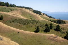 Mount Tamalpais, Marin County, California — coastal mountain landscape with Pacific Ocean views