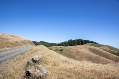 Mount Tamalpais, Marin County, California — coastal mountain landscape with Pacific Ocean views