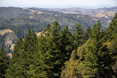 Mount Tamalpais, Marin County, California — coastal mountain landscape with Pacific Ocean views