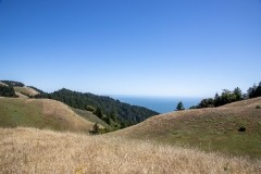 Mount Tamalpais, Marin County, California — coastal mountain landscape with Pacific Ocean views