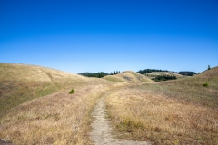 Mount Tamalpais, Marin County, California — coastal mountain landscape with Pacific Ocean views