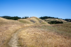 Mount Tamalpais, Marin County, California — coastal mountain landscape with Pacific Ocean views